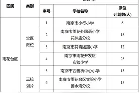 民办实验初中240人，南外雨花小学154人，雨花台区热点公办校、民办校摇号计划出炉图片