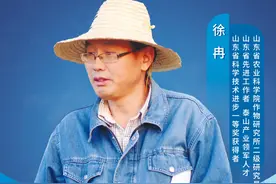 逐科技之梦 燃精神火炬 ②|山东省农业科学院作物研究所徐冉：让盐碱地丰润起来，让农民钱包鼓起来图片