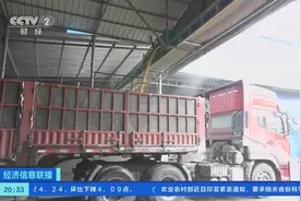 大范围持续降雨来袭！河南抓紧小麦烘干晾晒，加快抢收进度图片