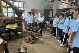 衢州这群学生在校园里种下油菜，今天他们收获了菜油图片