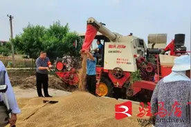 新蔡县黄楼镇：抢抓农时收获夏粮图片