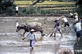 风中忆起的童年图片