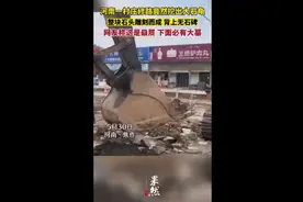 河南一村庄修路竟然挖出大石龟，整块石头雕刻而成，背上无石碑图片