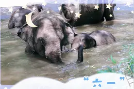 这份给10后的“六一”种草攻略，请收好！图片