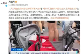 上海迪士尼将禁止野营车等入园图片