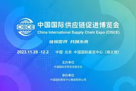 走进中国国际供应链促进博览会图片