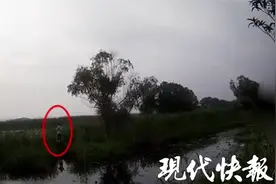 市民垂钓被困芦苇荡，被救后收到一张罚单图片