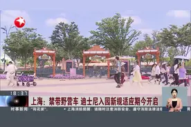 上海：禁带野营车 迪士尼入园新规适应期今开启图片