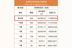 里水楼市实力狂飙，稳居全市、全区第一！图片