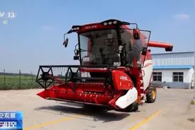 小麦渐熟 “烂场雨”下的三夏怎么“抢”？图片