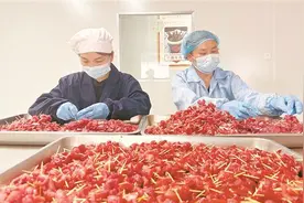 【新消费 新生活】冷水江市花桥村以“牛席一条街”打开流量新天地——“一头牛”拉动千万产业图片