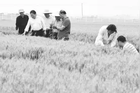 承接京津冀科研团队 助力农业科技创新图片