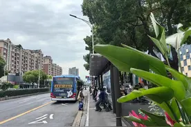 温度快评∣从专用到共享，城市交通管理需要这样的应时优化图片