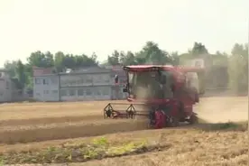 大量农业机械投入麦收 河南洛阳争分夺秒“雨后抢粮”图片