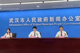 新推200个以上智慧应用场景！武汉全力提升数字政府和智慧城市治理水平图片