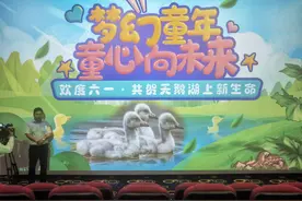 为野生大天鹅宝宝过生日，这个“六一”儿童节过得有意义！图片