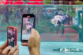 第六届中国（福州）金鱼大赛揭榜 62尾获奖金鱼惊艳渔博会图片