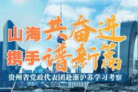 山海共奋进 携手谱新篇｜学好用活长三角经验 东西协作“黔”景无限图片