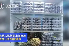 满满一冰箱的不是蓝莓，是父爱！图片