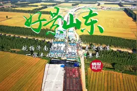 果然视频·好景山东|航拍济南黄河北麦浪滚滚，一派丰收在望景象图片
