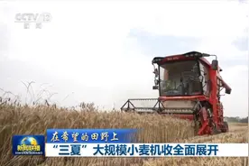 “三夏”大规模小麦机收全面展开图片