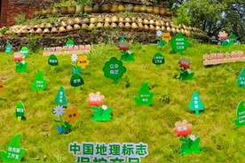 今天，钦江古龙窑火了！内附海量活动图直击现场！图片