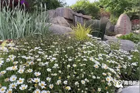 【青岛身边事】“遛娃”又添新去处！带你探访藏在浮山森林公园里的“秘境乐园”图片