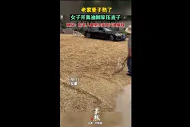 老家麦子熟了，女子开奥迪回家压麦子 网友：在老人眼里小麦比汽油值钱图片