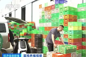 鸡蛋便宜了！未来价格怎么走？图片