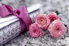 我的高考/我的大学梦.范兆国图片