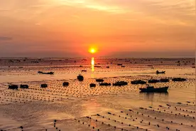 山东荣成：看百舸争流 迎海带丰收图片