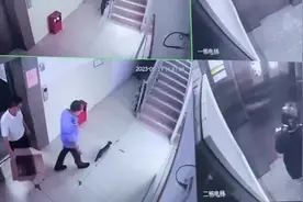 业主宠物猫被当流浪猫丢河淹死？物业回应图片