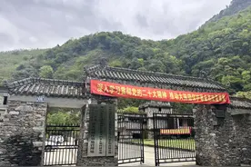 从研究中心到野外——大熊猫的"放归"路图片