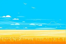 向麦子致敬图片