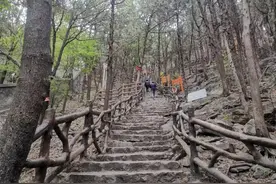 怎样摆脱容貌焦虑图片