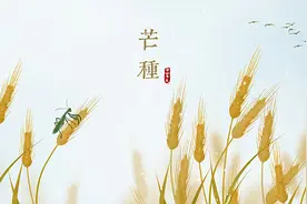二十四节气·芒种 | 时雨及芒种，四野皆插秧图片
