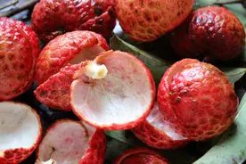 “日啖荔枝三百颗”？易上火！但“下火良方”就藏在荔枝中图片