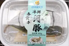 风险与美味并存？《靠谱“食”刻》告诉你，河豚鱼应该怎么吃→图片