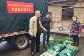 长沙黄金园街道：小庭院开出乡村振兴“致富花”图片