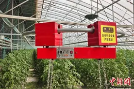 新疆兵团沙漠中建数字化农业“车间”图片