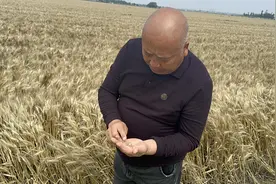 新乡三夏日志图片