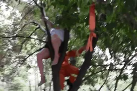 87岁老人爬树给老伴摘李子！结果...图片