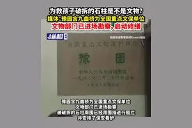为救孩子破拆的石柱是不是文物？媒体：豫园含九曲桥为全国重点文保单位，文物部门已进场勘察，启动修缮图片