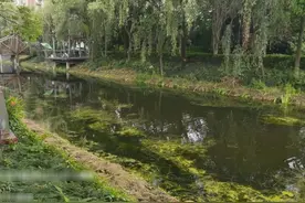 世界环境日图片