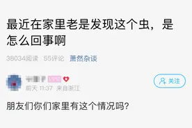 整个客厅都是！杭城很多人家里突然出现：吓懵了，每天冒出来图片