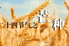 今日芒种：盛夏登场，养心神、清心火、健脾祛湿一身轻！图片