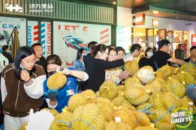 【深度】榴莲价格飞涨，为什么批发商们也和消费者一样难以实现“榴莲自由”？图片