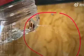 女生喝矿泉水呕吐发现底部有针眼，市监部门回应图片