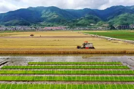 河南遭遇“烂场雨”，会影响粮食供应吗？图片