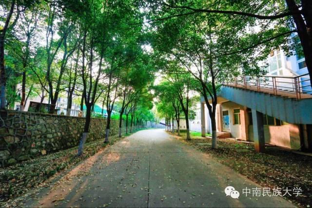 权威发布！中南民族大学2023年全日制普通本预科招生章程